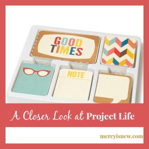 A Closer Look at Project Life @mercyisnew.com