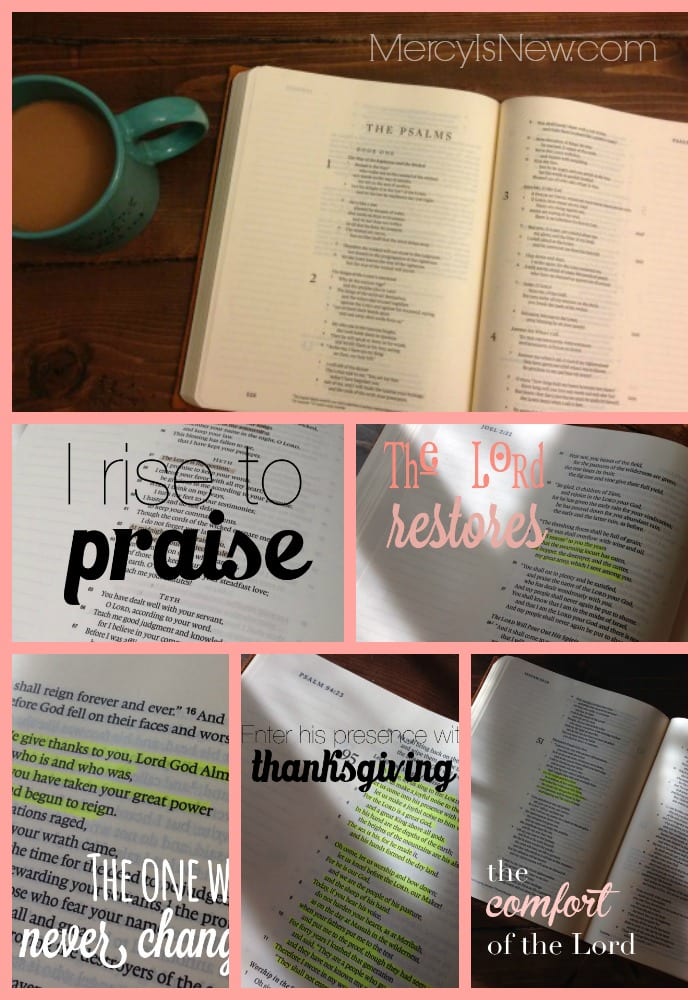 Journaling Bible Collage