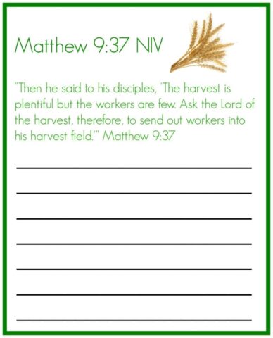 Matthew 9 copy work @mercyisnew.com
