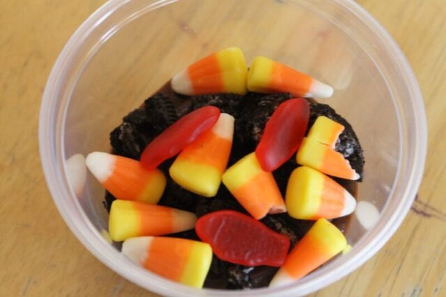 squanto snack