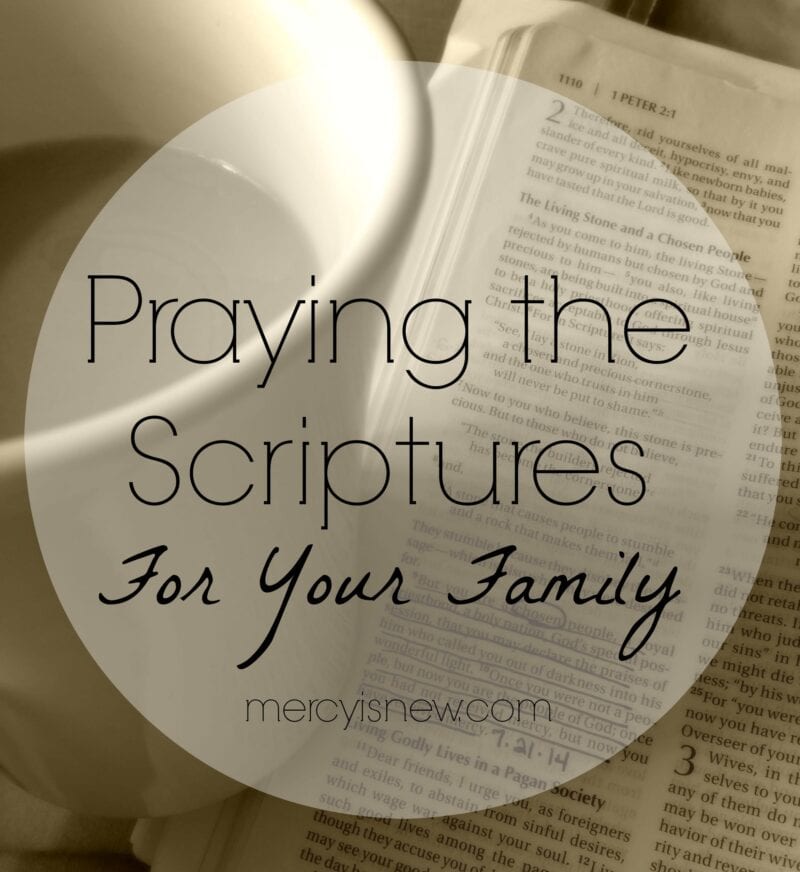 http://www.mercyisnew.com/2014/10/01/praying-the-scriptures-for-your-family/