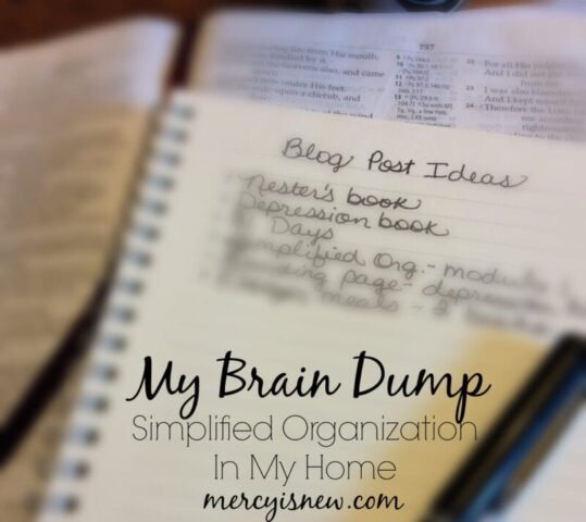 Simplified Organization In My Home ~ Brain Dump