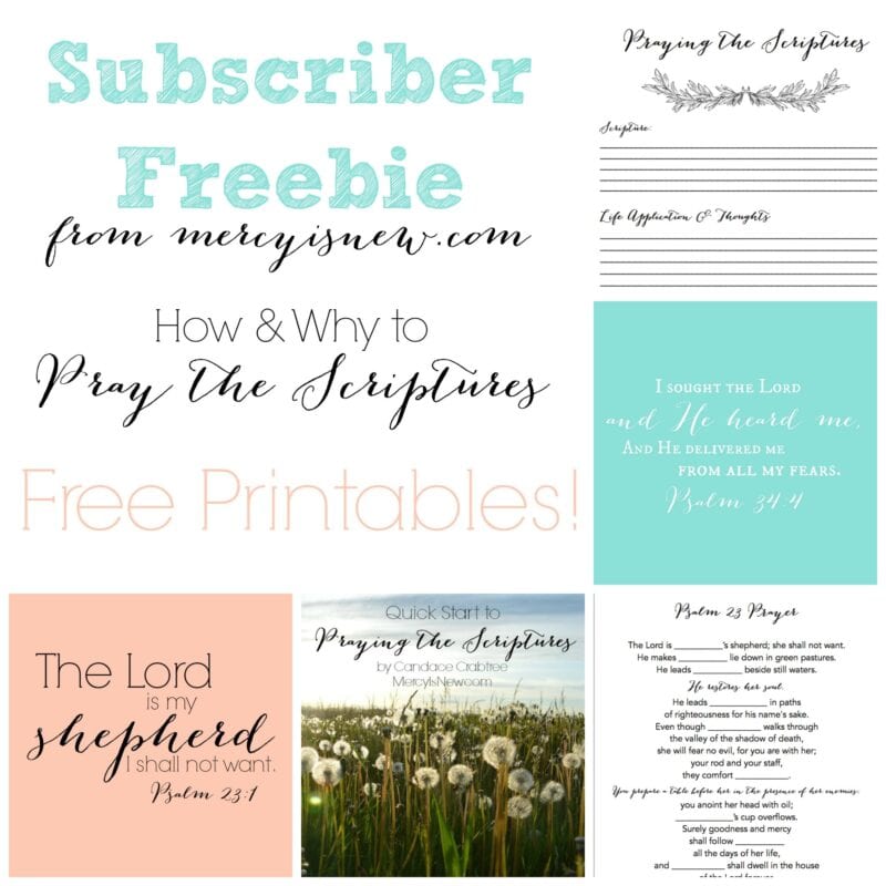 Free Guide to Praying Scripture 