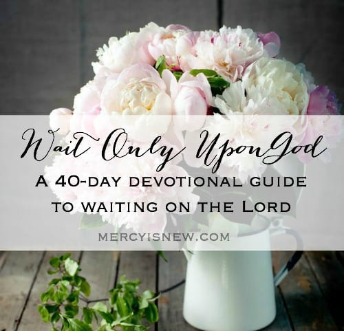 Waiting on God 40 Day Devotional | MercyIsNew.com