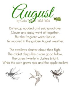 August by Celia Thaxter