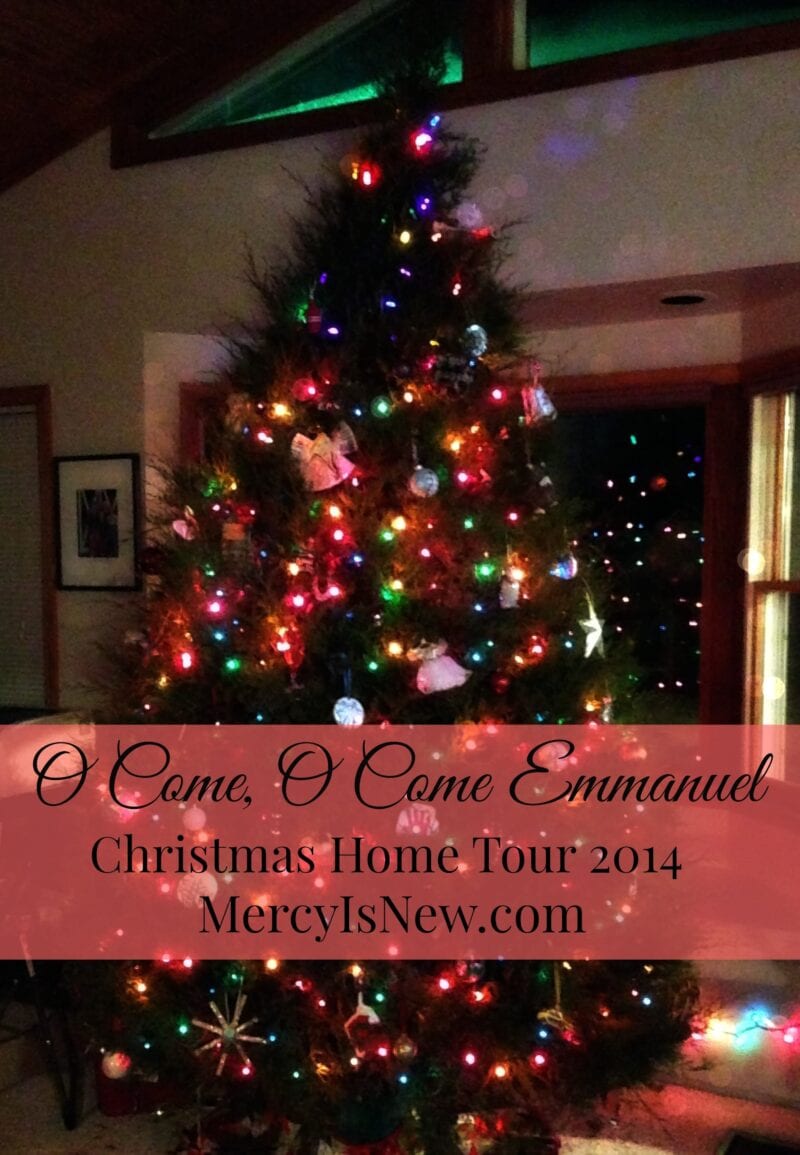 Christmas Home Tour 2014