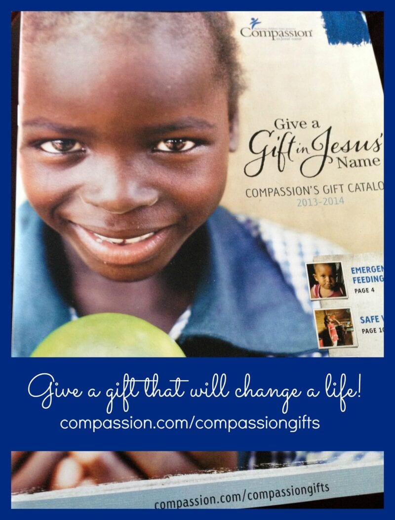Compassion Christmas Gifts @mercyisnew.com