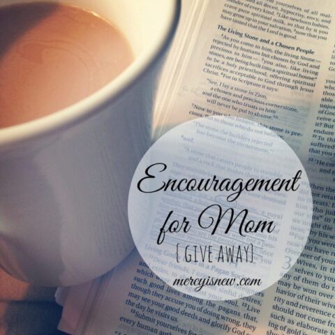 Encouragement for Mom give away at His Mercy is New