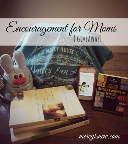 Encouragement for Moms Giveaway From His Mercy is New