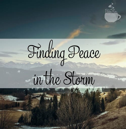Finding Peace in the Storm  TheBusyMom.com