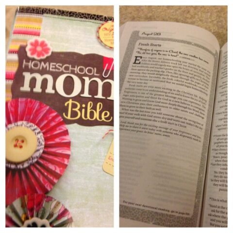 Homeschool Mom Bible review