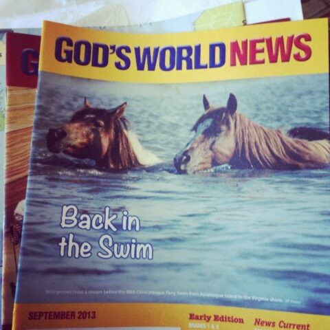 God's World News (magazine review) 