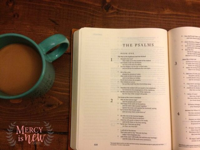 Journaling Bible as Prayer Journal 3