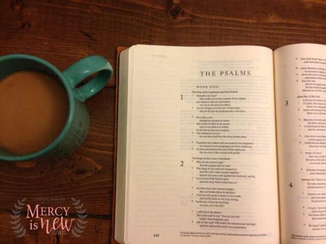 Journaling Bible as Prayer Journal 3