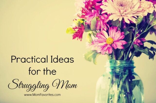 Practical Ideas for the Struggling Mom @momfavorites.com