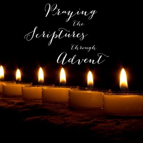 Praying the Scriptures Through Advent graphic 3