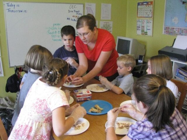 dissecting chicken bones