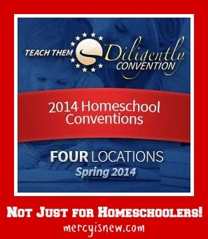 Teach Them Diligently ~ Not Just for Homeschoolers @mercyisnew.com