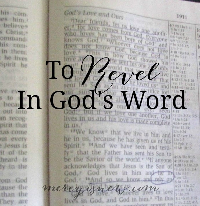 To Revel In God's Word