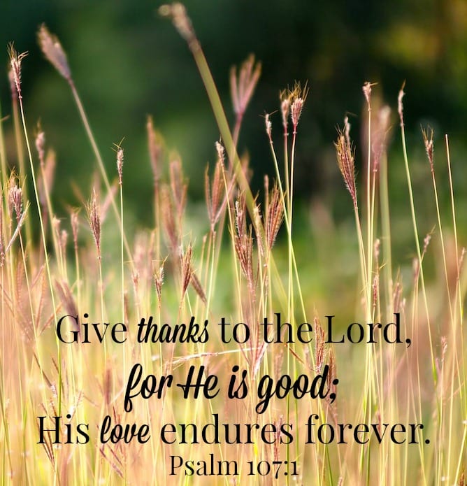 give thanks to the lord