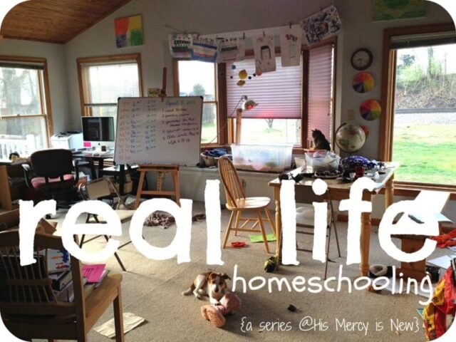 reallifehomeschooling